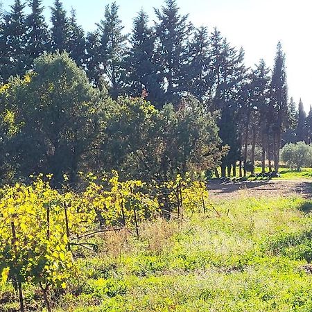 Maison Village Vacances Demeures Du Ventoux Aubignan Zewnętrze zdjęcie