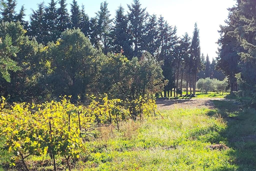 Maison Village Vacances Demeures Du Ventoux Aubignan Zewnętrze zdjęcie