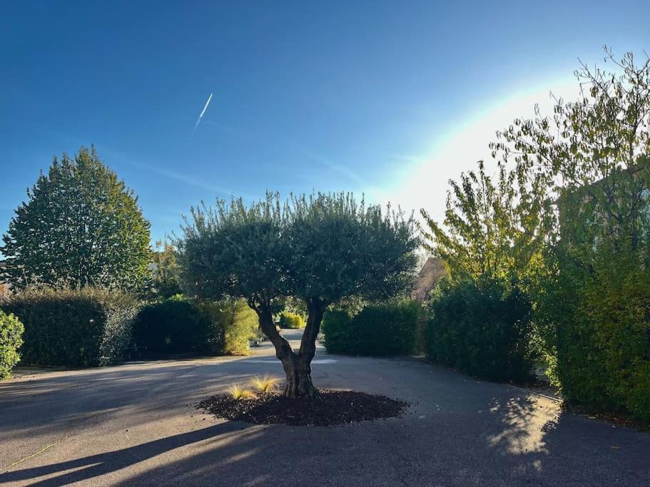 Maison Village Vacances Demeures Du Ventoux Aubignan Zewnętrze zdjęcie