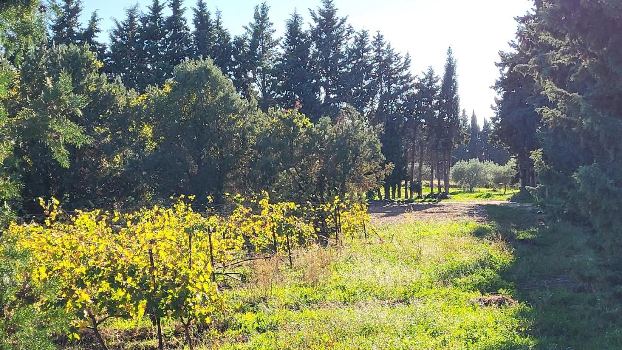 Maison Village Vacances Demeures Du Ventoux Aubignan Zewnętrze zdjęcie